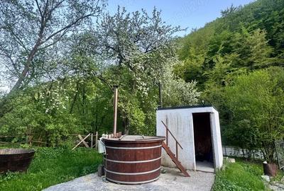 Vand casa in Baisoara -Cluj - 4