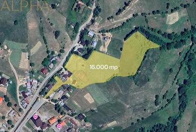 Teren Intravilan de 16.000 mp, Utilitati si Acte in Regula - 1