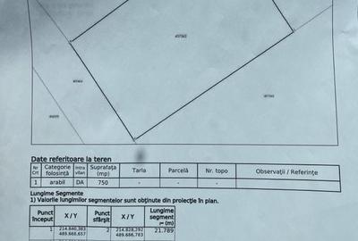 Teren de vânzare |  Giarmata - 750 mp - 3