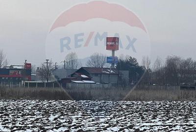 Teren de 6210 mp, în Ciolpani