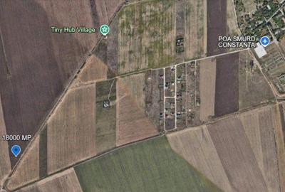 Teren de 18000 mp, în Vest - 5