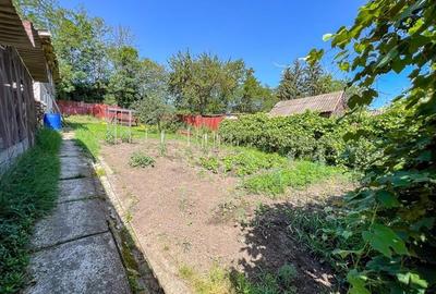 Casa armonios compartimentata, 834 mp teren, Ilieni, Covasna: FILM! - 26