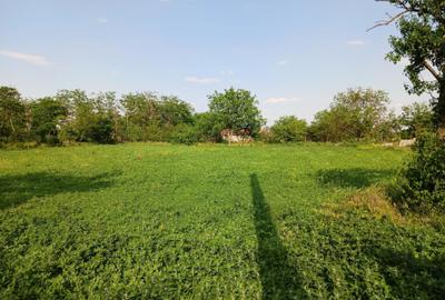 Teren de 3580 mp, în Călțuna - 3