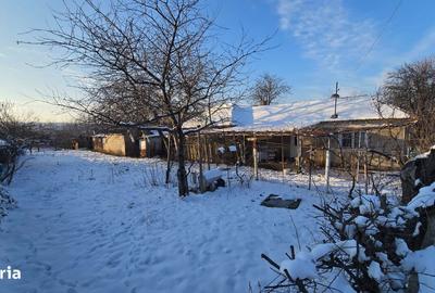 Casă cu 3 camere cu Teren 1430 Mp în Poarta Albă - 4