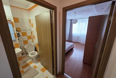 Apartament cu 2 camere semidecomandat, mobilat în Gorjului - 14