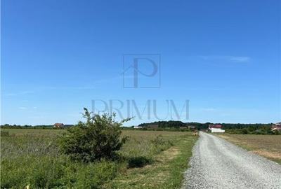 Teren intravilan de 799 mp, în Moșnița Veche - 3
