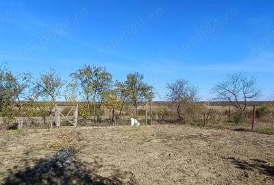 Teren de 1600 mp, în Varnița - 3