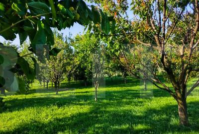 Casă cu 2 camere cu Teren 2382 Mp în Aiton - 3