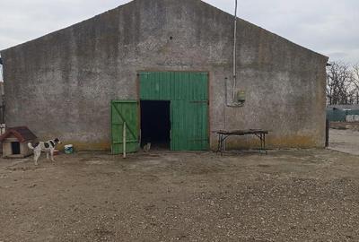 Spațiu comercial, de 480 mp, în Siliștea - 1