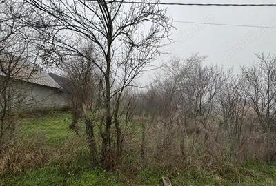 Teren de 2499 mp, în Sârbeni - 3