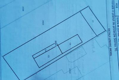 Casă individuală cu 5 camere cu Canalizare în Dristor - 8