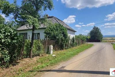 Casa cu teren in Viile Satu Mare