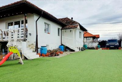 Inchiriere casa cocheta, situata in Tetila (Curti?oara Go - 1