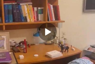 Casă cu Teren 244 Mp în Dacia - 3