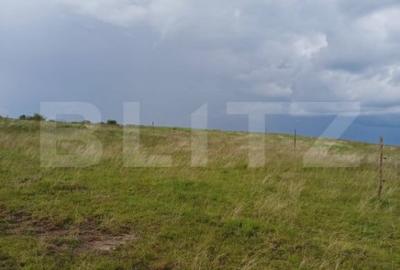 Teren de 1248 mp, în Copăceni - 3