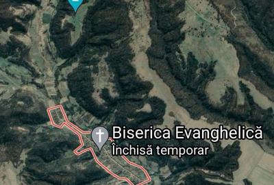 Teren de 124000 mp, în Șeica Mare - 3
