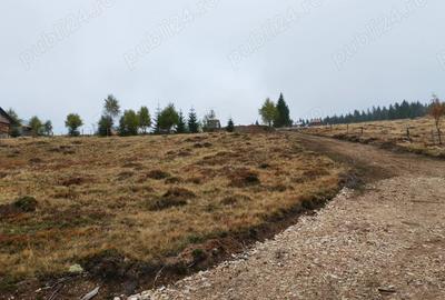 Teren de 2666 mp, în Horea - 2