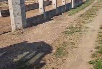 Teren de 2100 mp, în Dumbrava (Răchitoasa)
