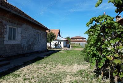 Casa de vanzare in Ghiroda - 4