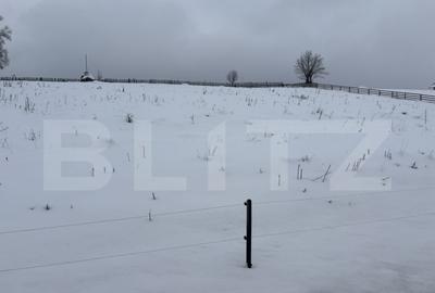 Teren intravilan de vanzare, 2000 mp, in Co?na, Podul Co? - 2