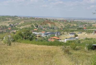 Teren de 6372 mp, în Paleu - 13