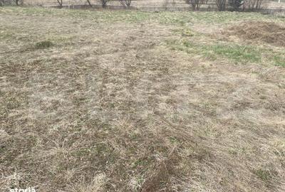 Spațiu comercial, în Roșu - 2