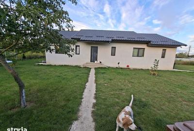 Casă cu 3 camere cu Teren 1600 Mp în Prisăcani - 2