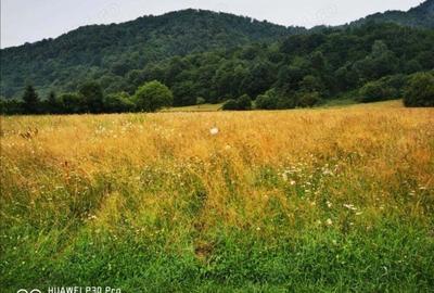 Teren de 1500 mp, în Glăjărie - 6