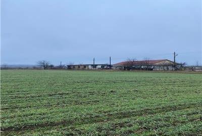 Teren Intravilan 28.000 mp ?n Onești ? pentru Investiții Industriale s