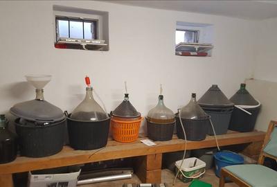 Casă cu 3 camere cu Canalizare în Periferie - 9