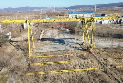 Spațiu comercial, de 17,000 mp, în Daneș - 9