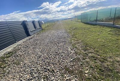 Teren Intravilan 1000 mp Bicfalau - 5