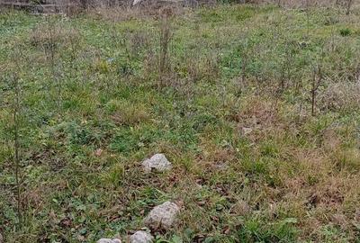 Casă în Traniș - 2