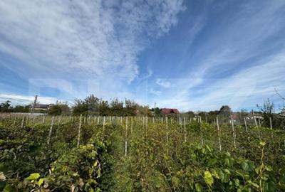 Teren intravilan, livada mixta cu anexa, Preutesti Suceava - 2