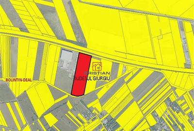 Teren Bolintin Deal - A1 - KM23, Giurgiu - 1