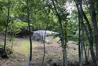 Casa situata intr-o zona superba - 3