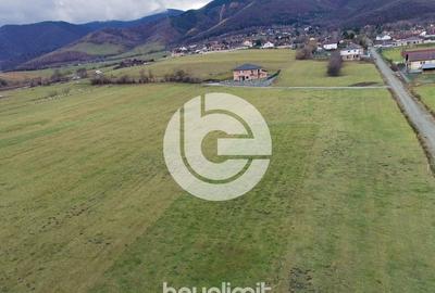 Teren intravilan in Tocile - 4354 m² - 2 fronturi - oferta competitiva - 1