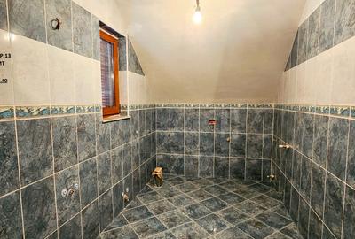 Proprietate Rozvov- Vila P+E+M si Anexa P+M - 15