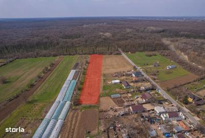 Spațiu comercial, în Balta Neagră - 6