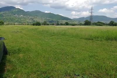 Teren Construcții intravilan de 1200 mp, în Exterior Vest - 3