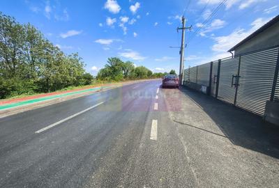 Casă individuală cu 3 camere cu Canalizare în Câmpurelu - 52