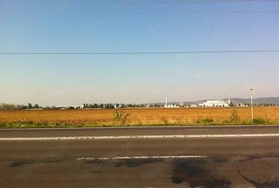 Teren de 12500 mp, în Florești - 1