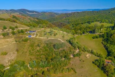 Teren de 6014 mp, în Holbav - 13