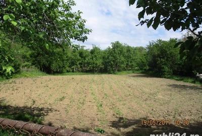 Teren de 1270 mp, în Drajna - 4