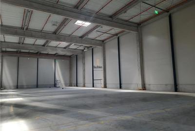 Spatiu Industrial - 1500 mp - Logistica - Productie - Depozitare - 3