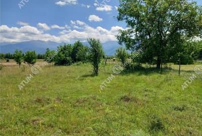 Teren de 5000 mp, în Avrig - 17