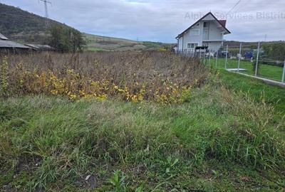 Teren 3500 mp intravilan in Cart. Sarata - BN - 3