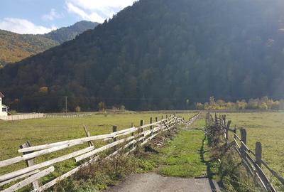 Teren Construcții intravilan de 6025 mp, în Lepșa - 5