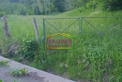 Teren intravilan de 1659 mp, în Vărbilău - 4
