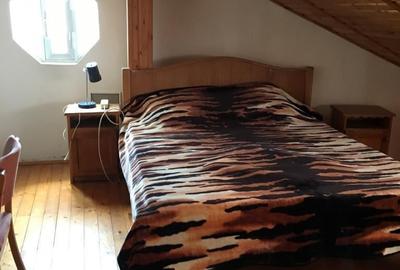 OVIDIU PARTEA CU GHIOLUL vila - 5